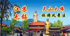 亚洲淫江苏无锡灵山大佛旅游风景区